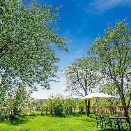 Amazing Holiday Home In Porcheresse Daverdisse With Terrace Eksteriør billede